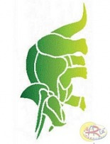 Szablon 13,5 X 6cm - 2N143