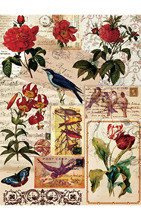 Papier Ryżowy Cadence (049) - Rice Paper