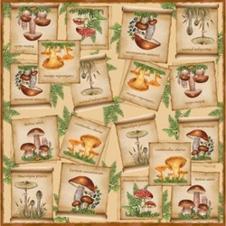 Serwetka do decoupage (SLOG14901]