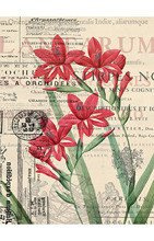 Papier Ryżowy Cadence (056) - Rice Paper