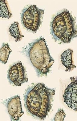 Papier do decoupage GC209